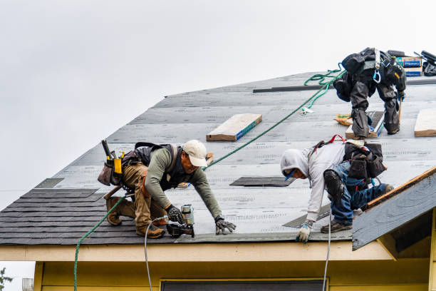 Professional Gutter Installation technician working in Pisgah, IA